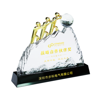 战略合作伙伴STANDARD-202501.png